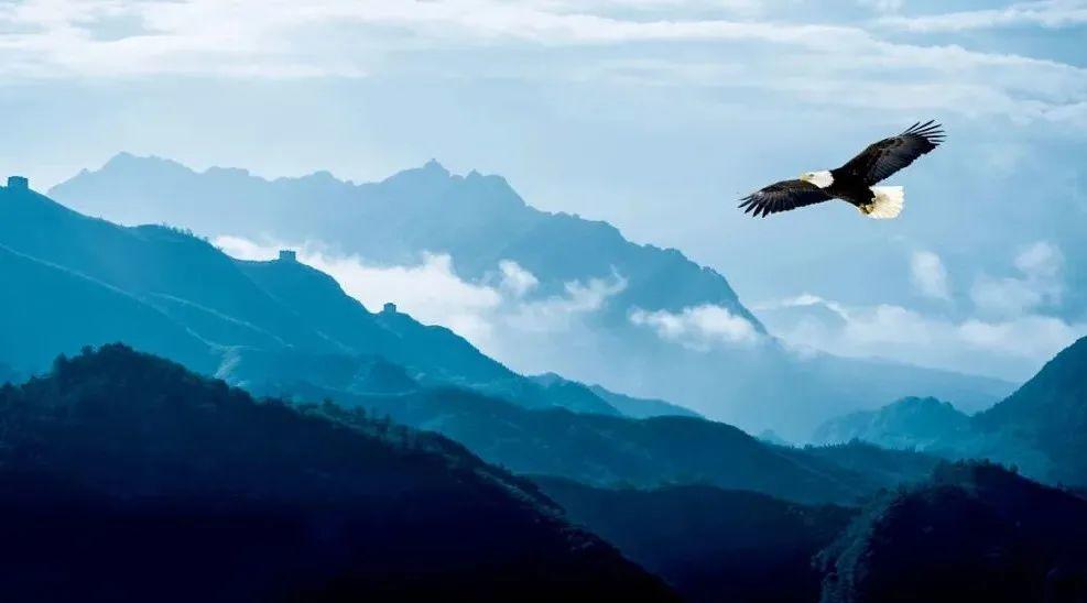 坚持到底，必然得救！  第8张