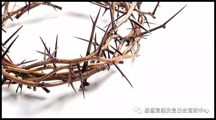 六千年等待，只为此刻看你一眼！