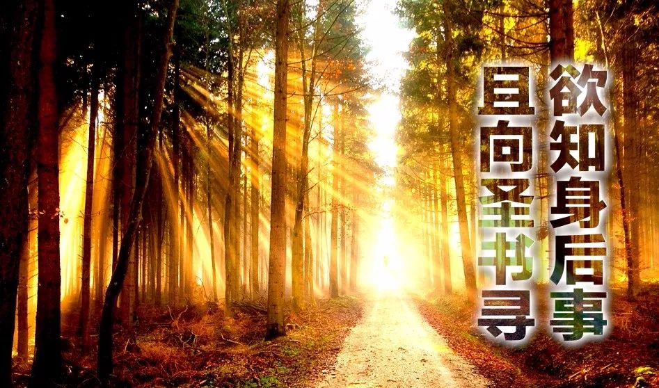 “灵魂”和“阴间”的真相！