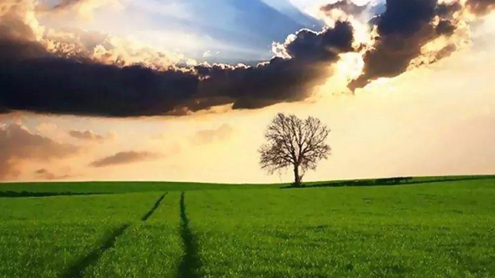 中国教会是到了该省思的时候了！  第11张