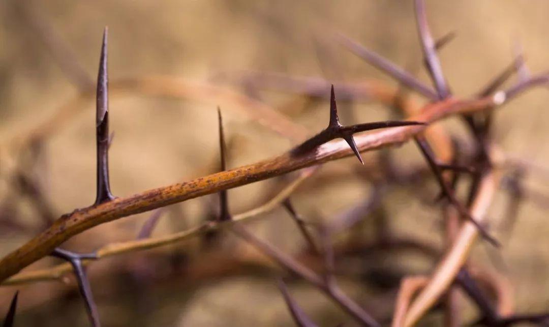 患难面前，基督徒，不要怕！