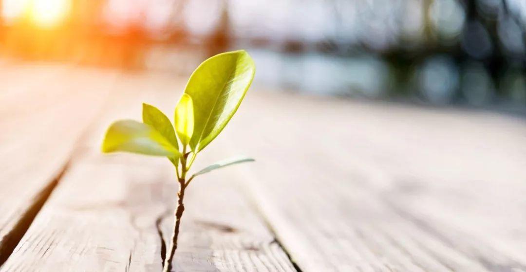 上帝啊，祢的爱在哪里？