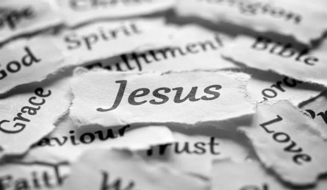 他那无言的爱，你究竟懂几分？