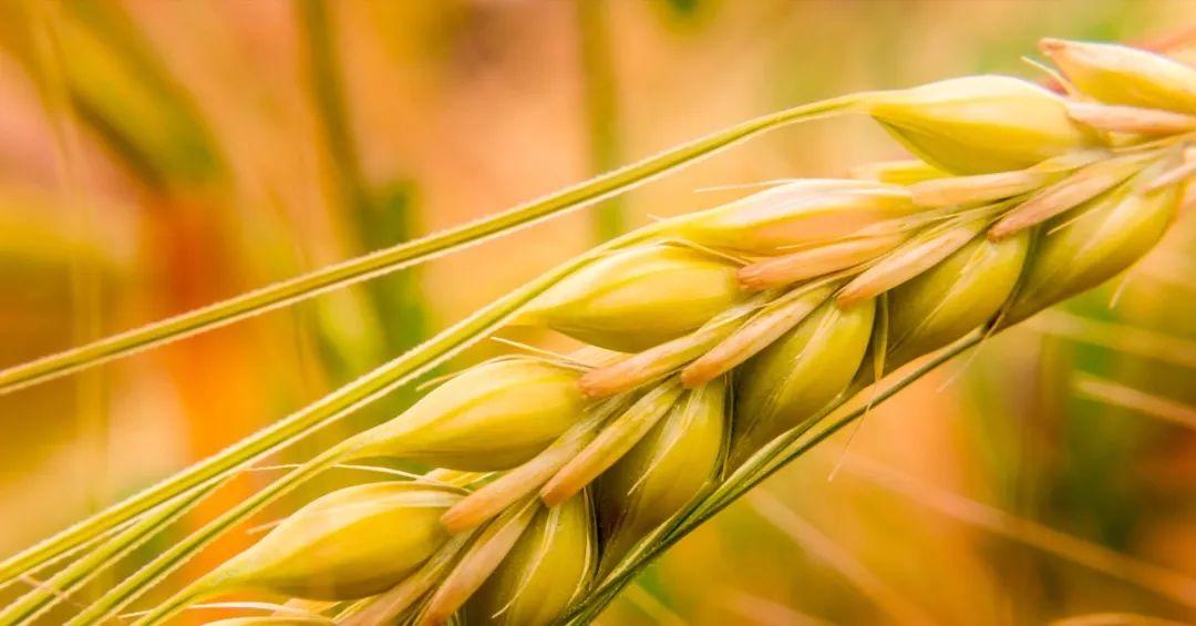 牢记！基督徒一生中必做的三件事