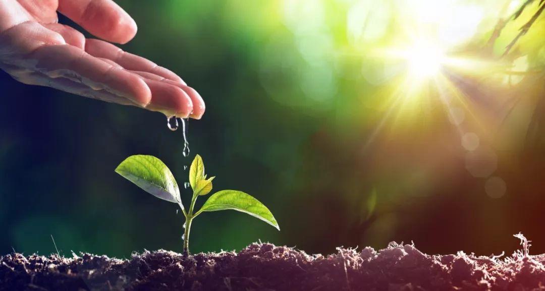 上帝啊，祢的爱在哪里？