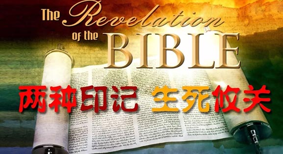 两种印记，生死攸关！